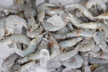 Fresh shrimp sold