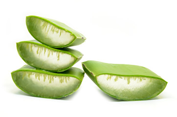 Aloe vera fresh leaf isolated