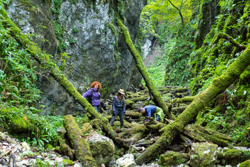 Fototapeta premium Friends hiking together