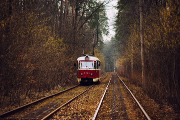 Fototapeta na wymiar Vintage red tram running through the forest part of the city. Autumn background in the park in Kiev, Ukraine.