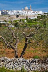 Locorotondo (Puglia, Italy) - View of the little picturesque village in south Italy