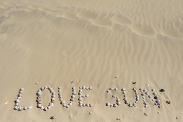Fototapeta premium Sea shells on sand. Summer beach background. Top view