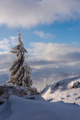 Winter landscape