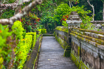 The path around the temple complex is surrounded by green tropical trees and cut bushes along the...