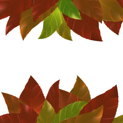 Bright red orange green autumn leaves abstract frame background