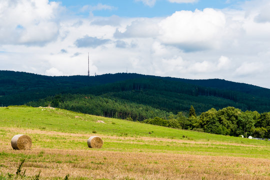 Field with hay bales on summer sunny day