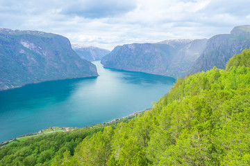 Naklejka na ściany i meble Imposante Berge im Fjord an Norwegens Küste