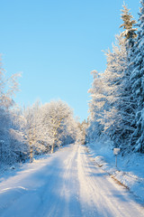 Wintry forest road with snow and frost