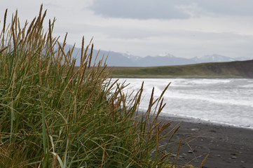 Typical Icelandic landscape, a wild nature of rocks and shrubs, rivers and lakes.