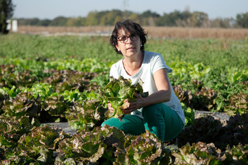 smiling brunette woman picking lettuce salads