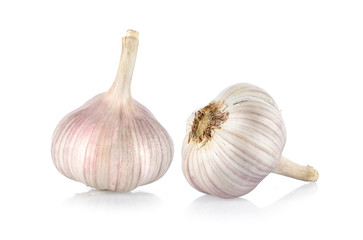garlic on white background