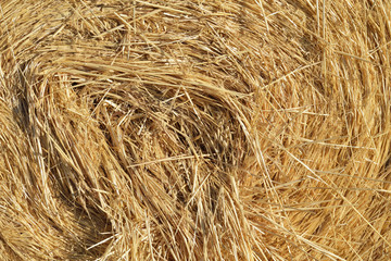 Haystack, detail. Stack of straw.