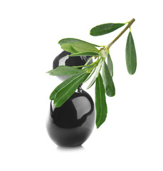 Ripe olives and tree twig on white background