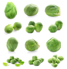 Fototapeta premium Brussel sprouts on white background
