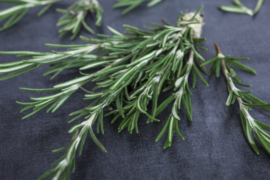 Sprigs of rosemary tied with string on a dark gray background.