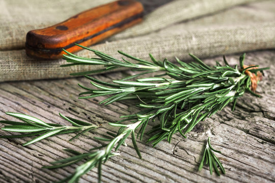 Branches of fresh rosemary, vintage wooden background, selective focus