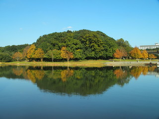 Fototapeta na wymiar 秋の池と森風景