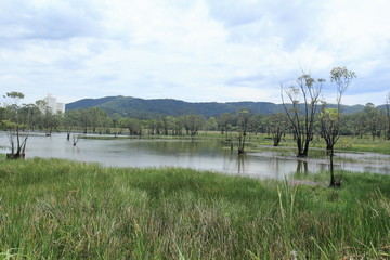 flooded area