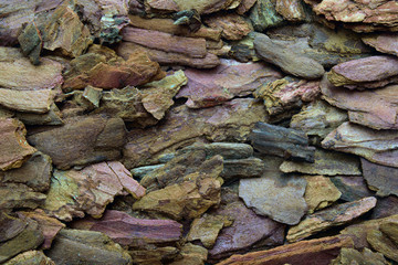 Background of brown pine bark. Organic substrate for orchids.