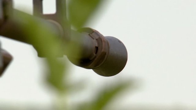 the gun shoots in the field