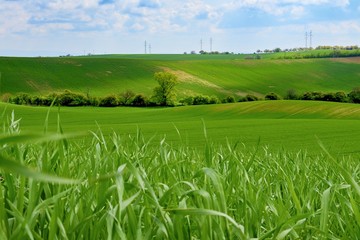 Very beautiful landscapes on south Moravia, so called Moravian Tuscany. Amazing colors in almost every season and great lines and curves. Moravian Tuscany, South Moravia, Czech Republic.