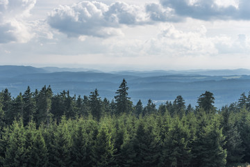 The landscape of mountain in Harz, Germany