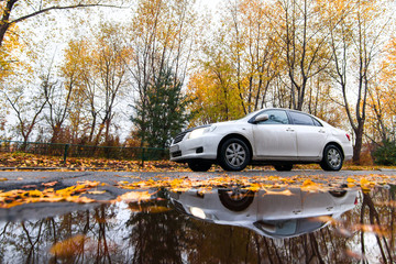 White car on autumn road in rainy day