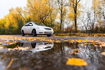 White car on autumn road in rainy day
