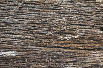 Abstract background surface is uneven and rutted, rough wood of old.Old Wood Texture.