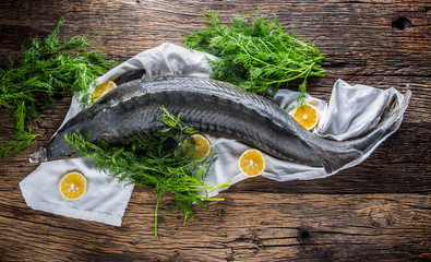 Sturgeon fish with dill and lemon on rustic oak table