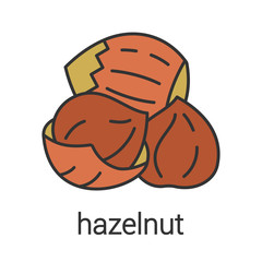 Hazelnut color icon