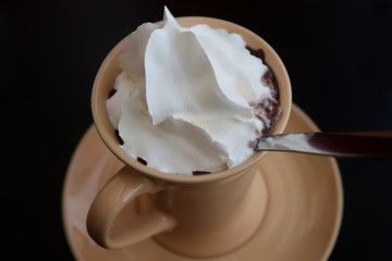 Hot chocolate with whipped cream
