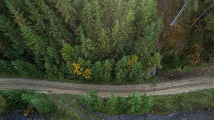 Aerial photography a dirt road in the middle of a fir forest from a dron.
