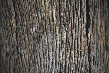 Abstract background surface is uneven and rutted, rough wood of old.