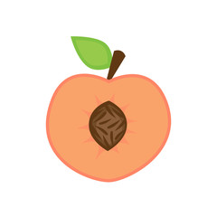Peach vector illustration graphic, peach fruit cut in half with stone or pit, stalk and green leaf. Isolated on white background.