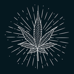 Hand drawn vector illustration with Cannabis leaf on blackboard. Used for poster, banner, t-shirt print, bag print, badges and logo design.