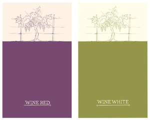 Label for red and white wine -- set / Vector illustration, floral design element