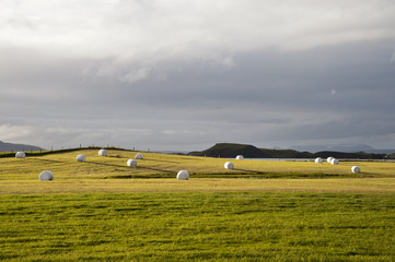 Fototapeta premium Typical Icelandic landscape, a wild nature of rocks and shrubs, rivers and lakes.