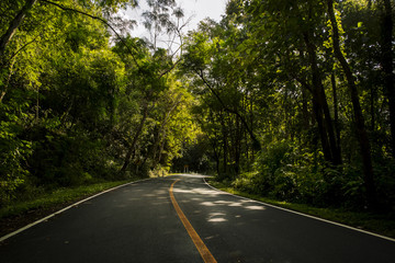Rural Country Road on the Mountain of Doi Phuka National Reserved Park, Nan Province, Thailand