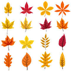 Fototapeta premium set of autumn leaves isolated on white background. Vector design element