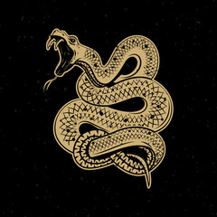 Viper snake illustration on dark background. Design element for poster, emblem, sign. Vector illustration