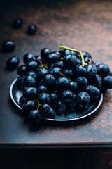 Bunches of fresh ripe red grapes on a metal tray textural table background. Dark grapes, blue grapes, wine grapes. Copy space