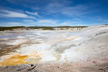 Norris geyser basin