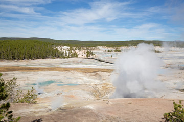 Norris geyser basin