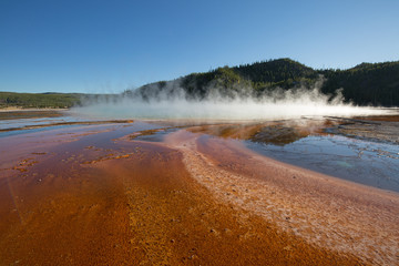 Lower geyser basin