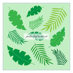 Palm leaves vector set. Tropical palm leaf icon vector illustration drawing in different green colors.