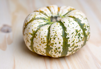white and green tiger pumpkin up close sitting on a wooden table