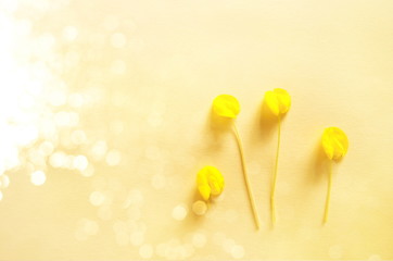 small yellow flower with bokeh light on beige background