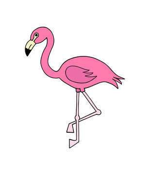 Pink flamingo bird vector illustration doodle cartoon drawing, isolated icon of cute pink flamingo.