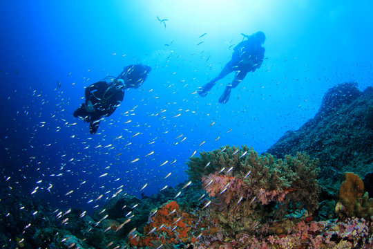 Scuba divers exploring coral reef underwater